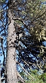 wbgarden alps 132